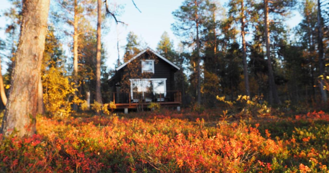 Lapintintti Eco-Cabin In Inari Extérieur photo